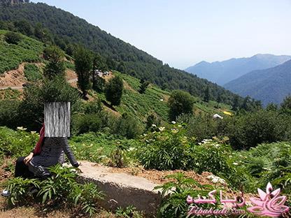 .:آلبوم عکسهای خودگرفته ما:.